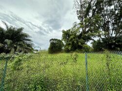 Jalan Kampong Chantek (D21), Detached #460448671